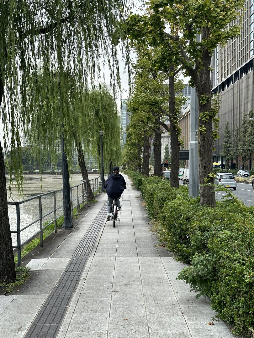 morning bike ride along the moat near hibiya, where chuck discovered that tokyo is SERIOUSLY bike-friendly