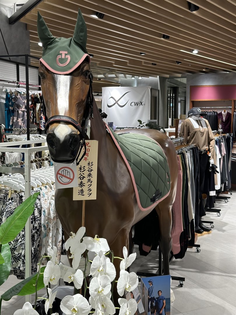 stumbled into this WILD equestrian clothing store in shibuya with a life-sized horse display that's somehow both elegant and totally random