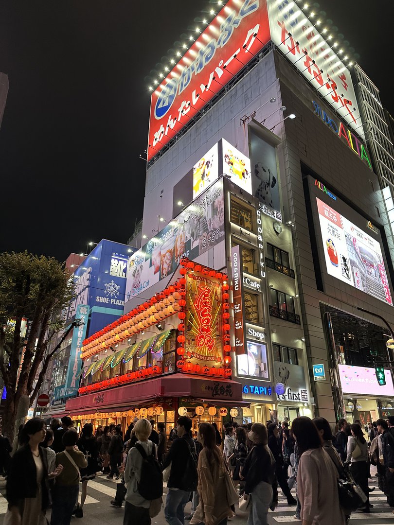 night shot from dan showing the WILD energy of shinjuku's entertainment district - those red lanterns and neon signs are no joke