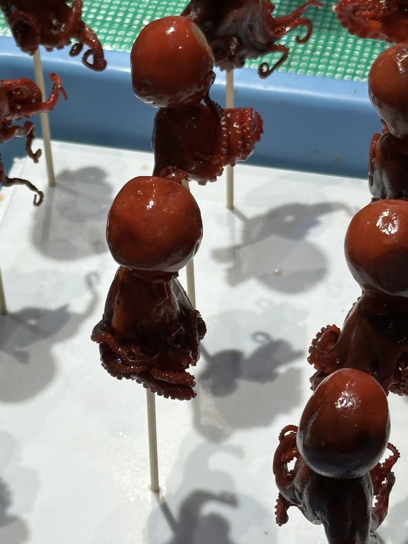 found these WILD candied baby octopus on sticks near nishiki market in kyoto. dan wasn't brave enough to try one but christina went for it