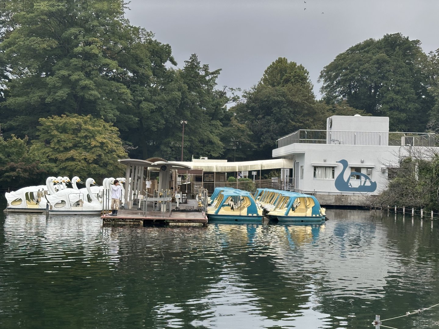 found these retro swan boats at inokashira pond - way more chill than the crazy crowds at the ghibli museum nearby