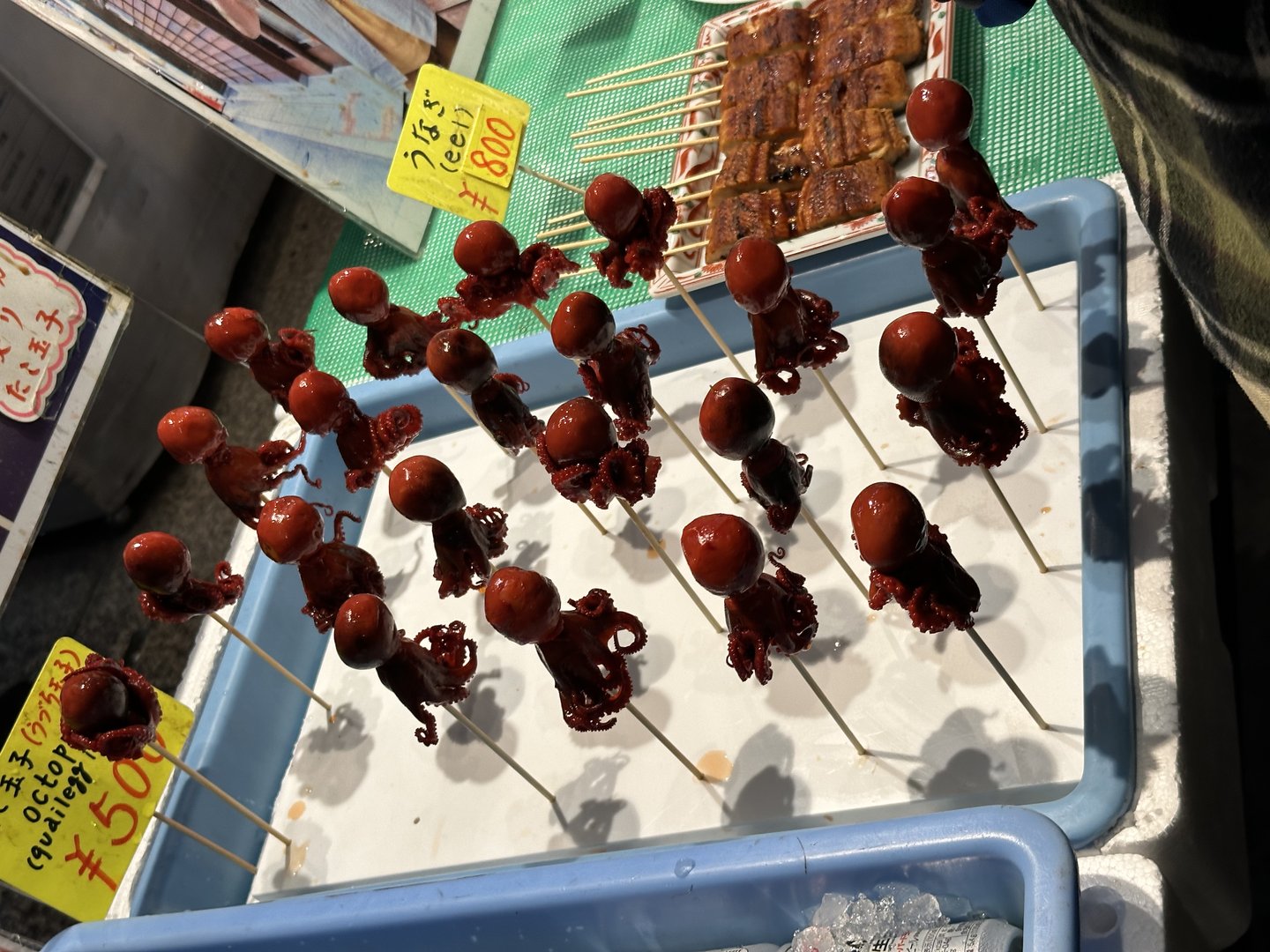 dan found these wild TAKO (octopus) skewers at a street vendor near nishiki market in kyoto. christina was too scared to try them but dan says they were actually pretty good.