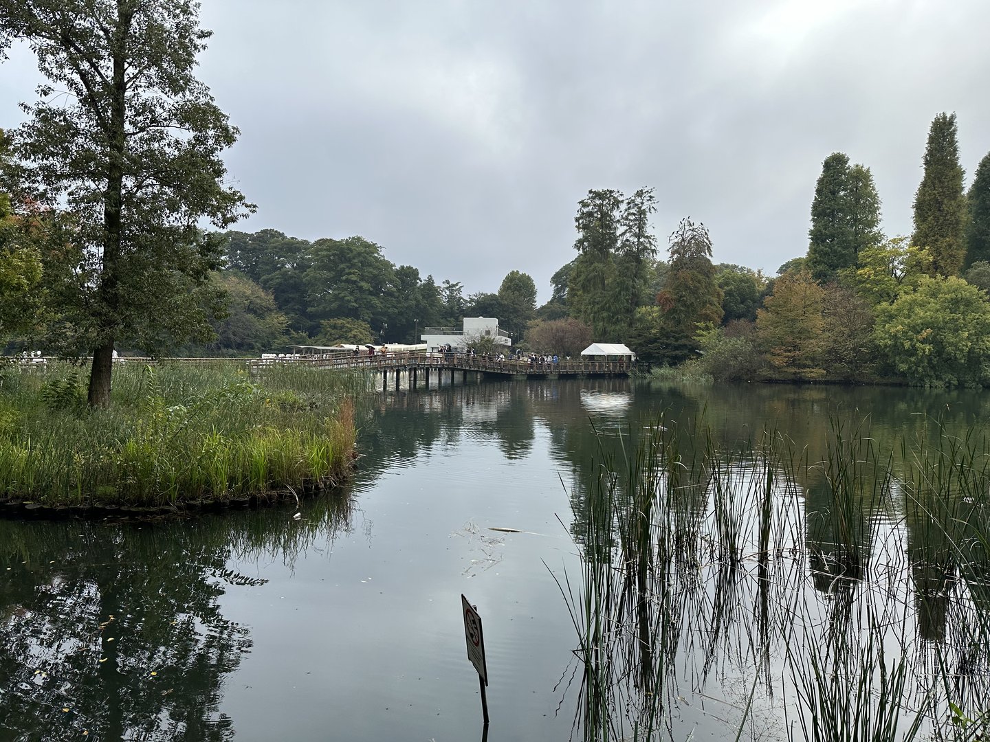 quick stop at inokashira pond before hitting up the GHIBLI museum. dan's shot of the wooden boardwalk gives off major totoro vibes