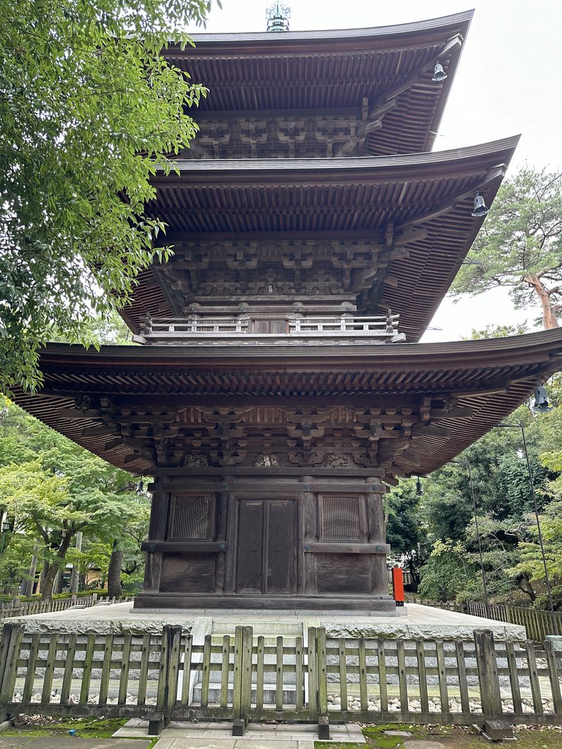 stumbled on this EPIC three-tiered pagoda at gotokuji temple while wandering through setagaya. dan's first time seeing a legit buddhist temple up close.