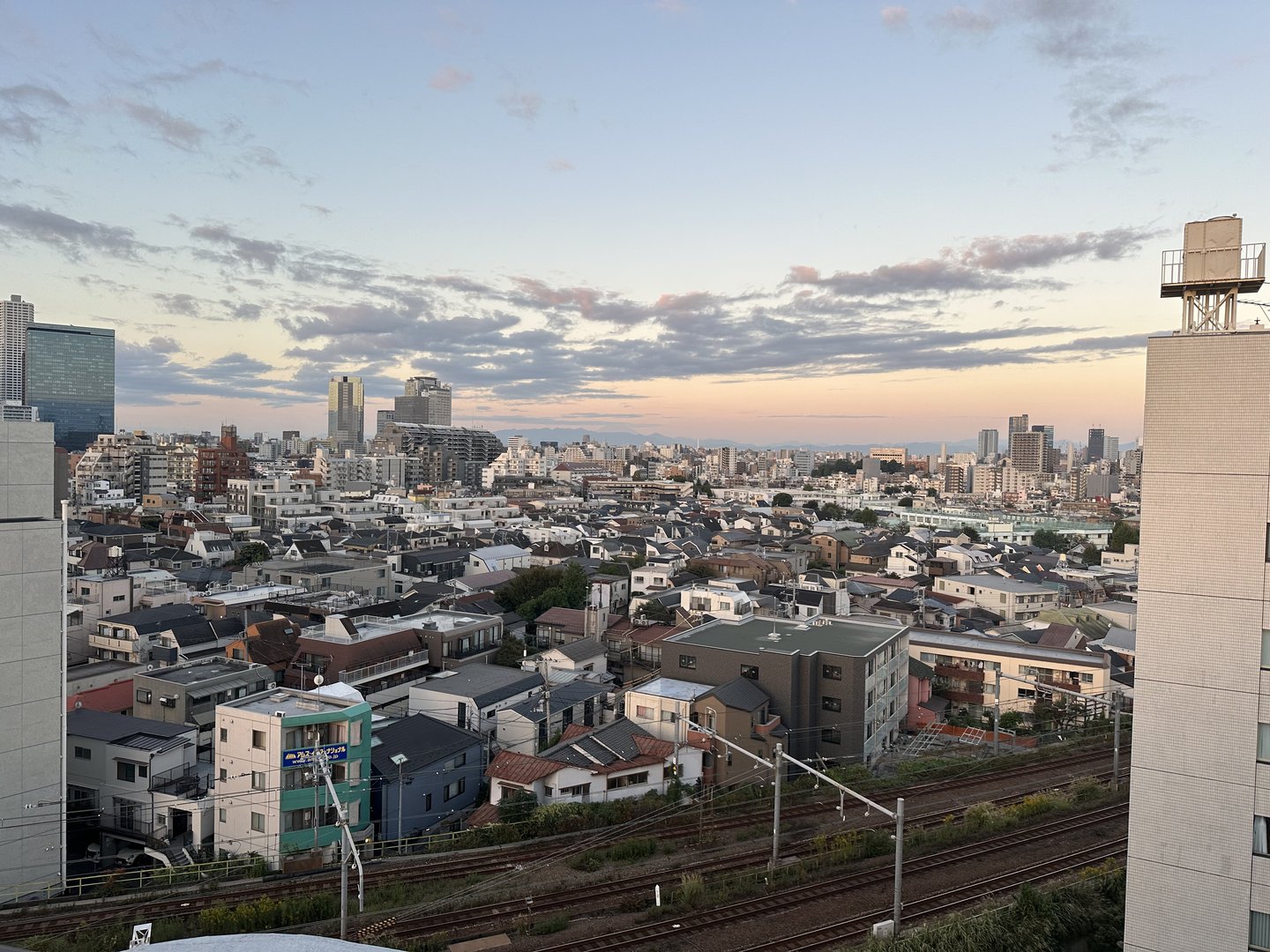 early morning view from our shinjuku airbnb - dan caught this mix of traditional homes and MASSIVE skyscrapers just as the sun was coming up