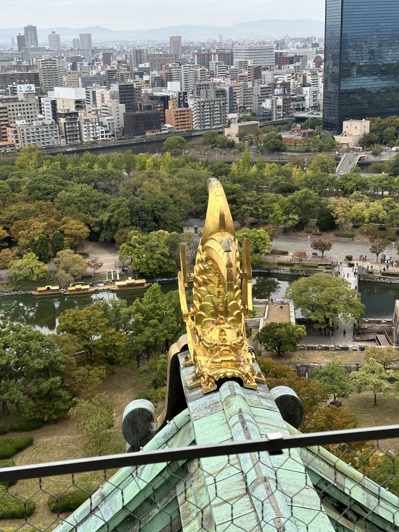 view from the top of osaka castle looking down at the famous golden shachihoko ornament and the castle grounds below. dan got this shot while christina was trying not to look down