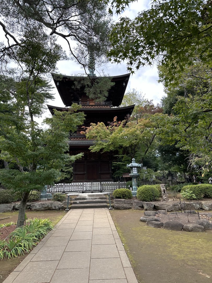 stumbled on this STUNNING three-story pagoda while exploring setagaya's backstreets - way less crowded than the tourist spots we hit yesterday