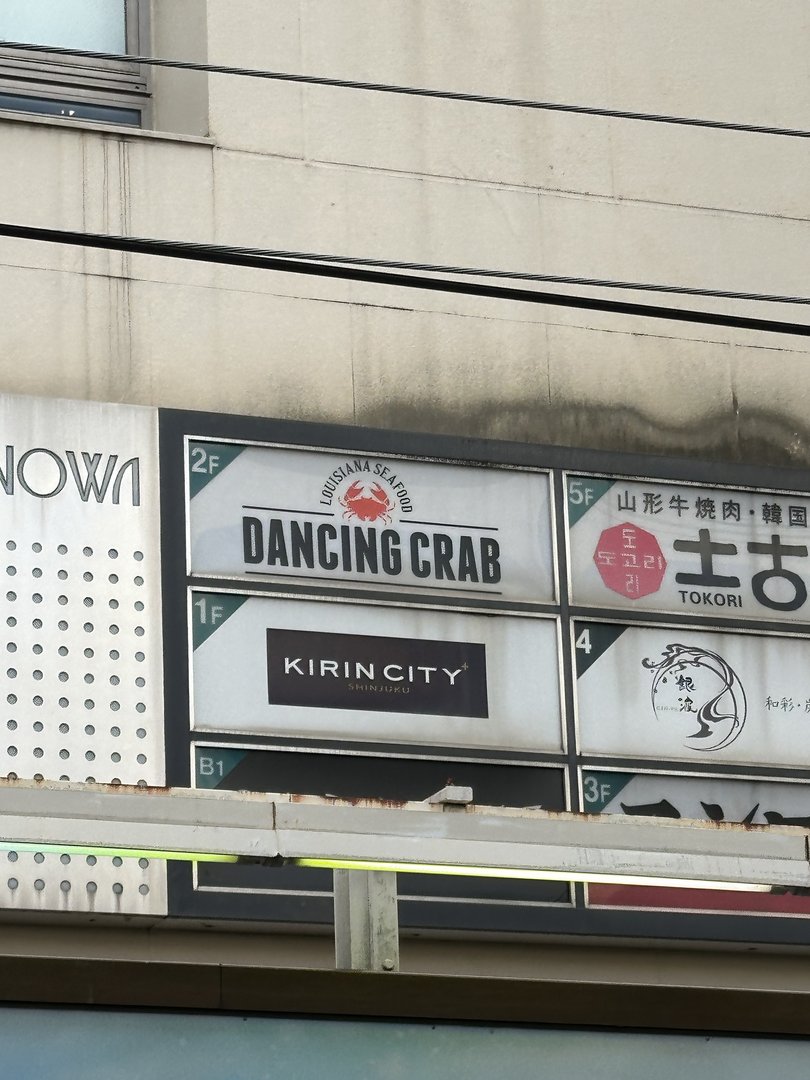 spotted this AMAZING restaurant directory in shinjuku - had to grab a pic of the dancing crab sign because how could you not