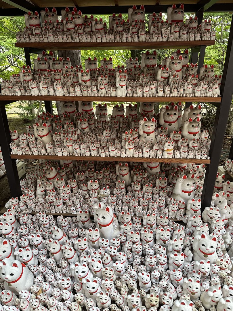 stumbled on this WILD collection of maneki-neko cats at gotokuji temple in setagaya. dan's first time seeing so many lucky cats in one place.