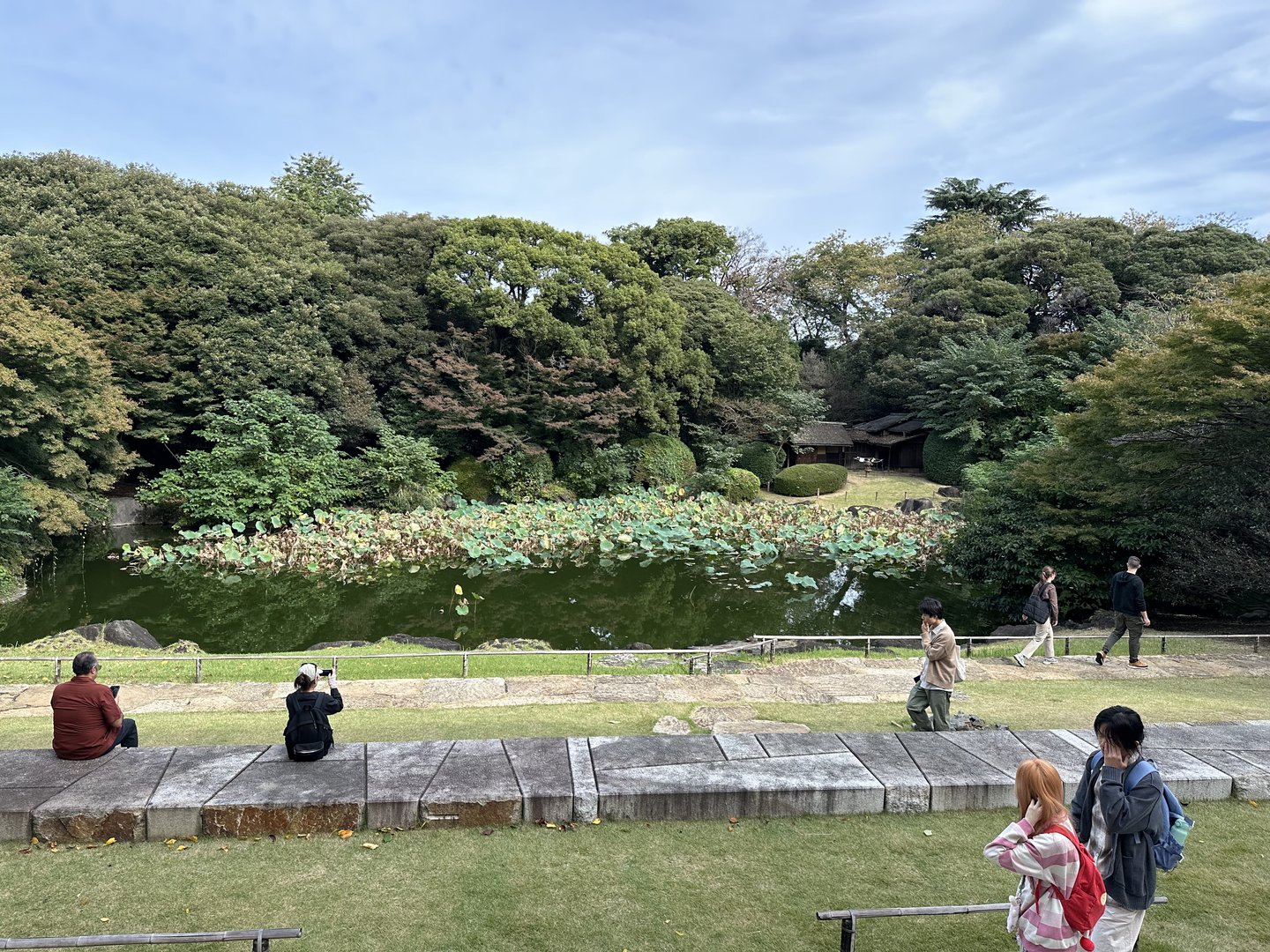 quiet morning at the lotus pond in ueno park - dan caught this zen moment while other photographers were setting up their shots