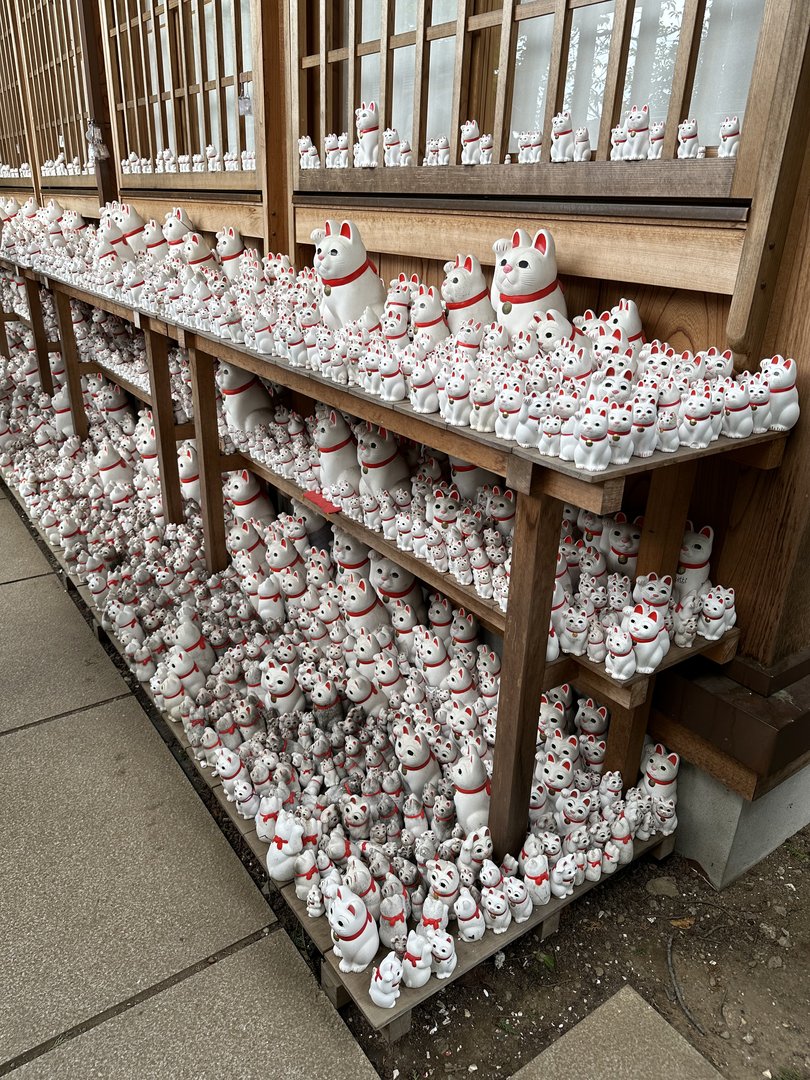 hundreds of maneki-neko (lucky cats) line the shelves at gotokuji temple in setagaya, where the famous beckoning cat legend began