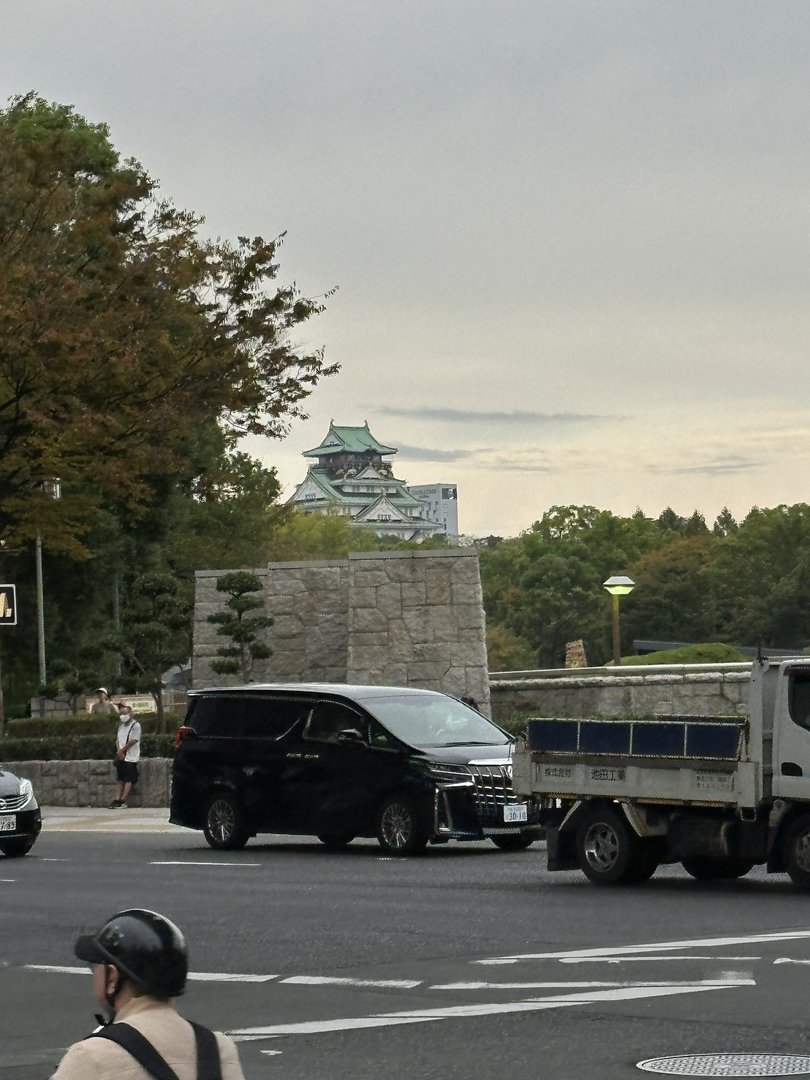 early morning glimpse of osaka castle while waiting for our uber - dan caught this view of the ICONIC green roof peeking through the trees