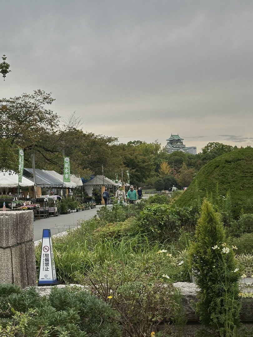 early morning stroll through the castle grounds - caught a glimpse of osaka castle peeking through the trees while vendors set up their market stalls