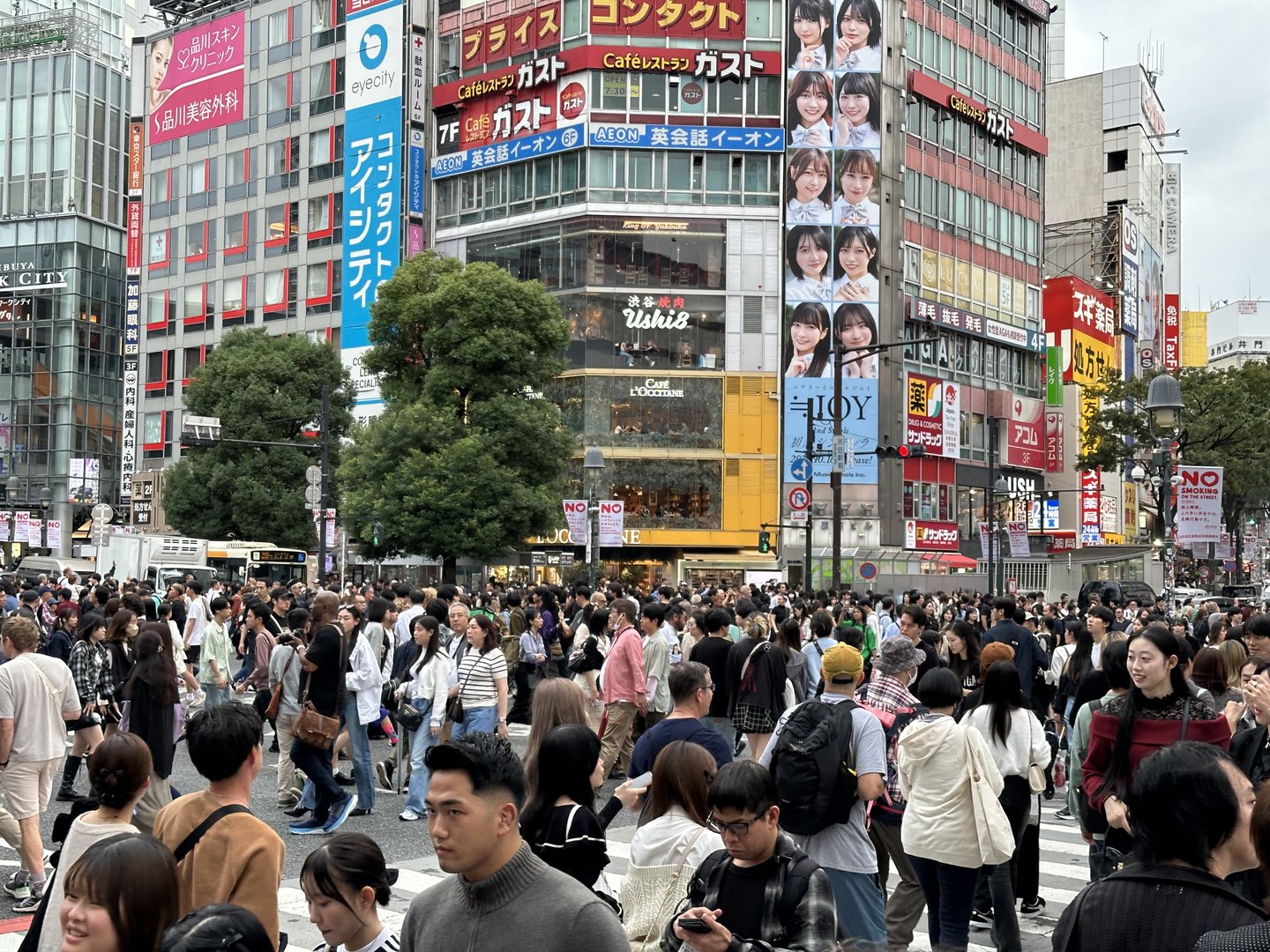 dan caught the MASSIVE sunday afternoon crowd at the famous shibuya crossing - turns out everyone else in tokyo had the same idea as us