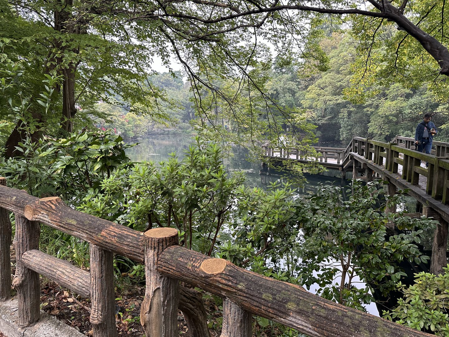 quick detour to inokashira park before hitting up the GHIBLI museum - christina spotted these wooden walkways that look straight out of a miyazaki film